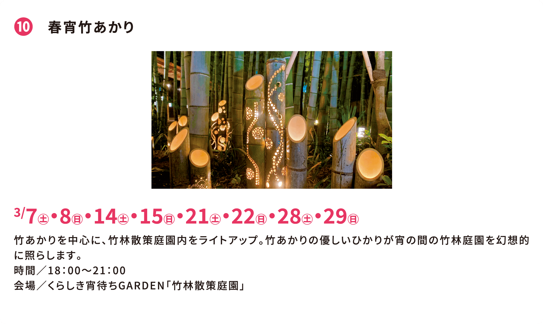 ❿ 春宵竹あかり