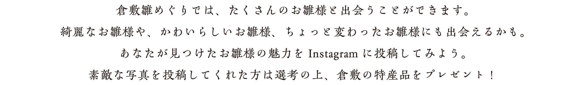 雛めぐりでは、たくさんのお雛様と出会うことができます。綺麗なお雛様や、かわいらしいお雛様、ちょっと変わったお雛様にも出会えるかも。あなたが見つけたお雛様の魅力をInstagramに投稿してみよう。抽選で素敵なプレゼントがもらえるチャンスです。。