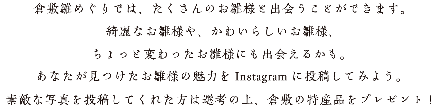 雛めぐりでは、たくさんのお雛様と出会うことができます。綺麗なお雛様や、かわいらしいお雛様、ちょっと変わったお雛様にも出会えるかも。あなたが見つけたお雛様の魅力をInstagramに投稿してみよう。抽選で素敵なプレゼントがもらえるチャンスです。