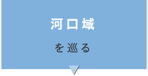 河口域を巡る