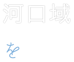 河口域を巡る。