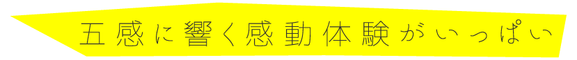 五感に響く感動体験がいっぱい