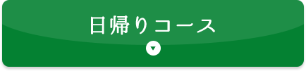 日帰りコース