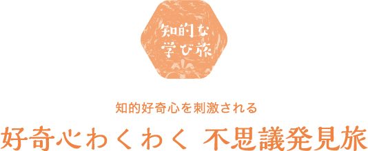 初めてに出会う、個性派ロケーション旅