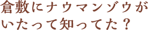 倉敷にナウマンゾウがいたって知ってた？