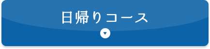 日帰りコース