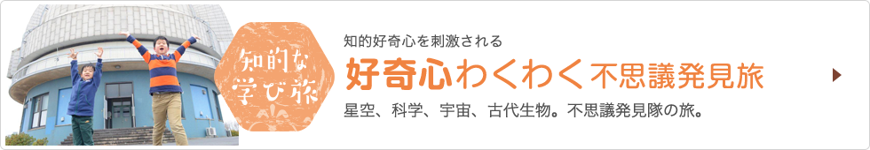 知的