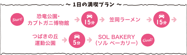 一日の満喫プラン
